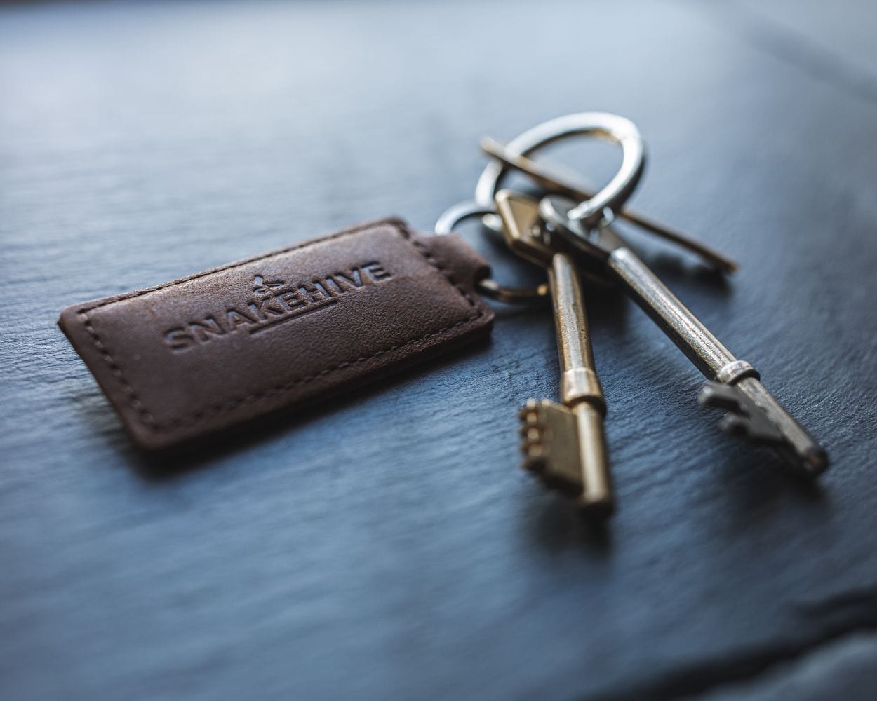 Vintage Leather Key Ring